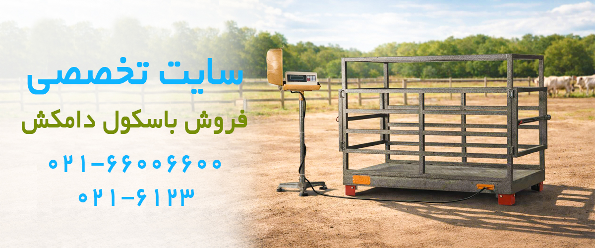باسکول دامکش